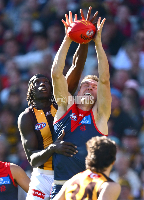 AFL 2025 Round 09 - Melbourne v Hawthorn - A-59372927