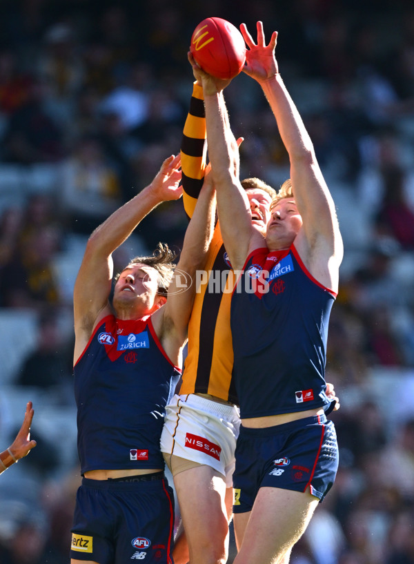 AFL 2025 Round 09 - Melbourne v Hawthorn - A-59372930