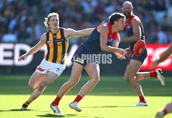 AFL 2025 Round 09 - Melbourne v Hawthorn - A-59372935