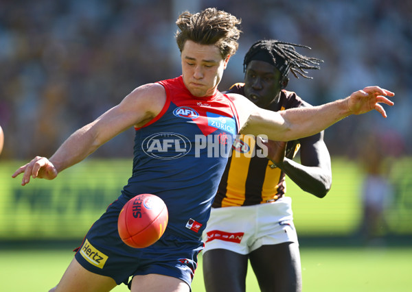 AFL 2025 Round 09 - Melbourne v Hawthorn - A-59373381