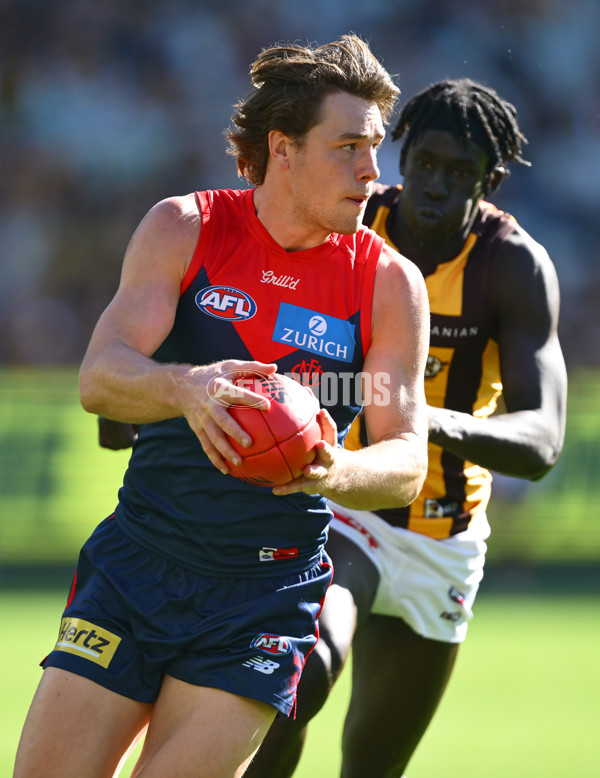 AFL 2025 Round 09 - Melbourne v Hawthorn - A-59373382