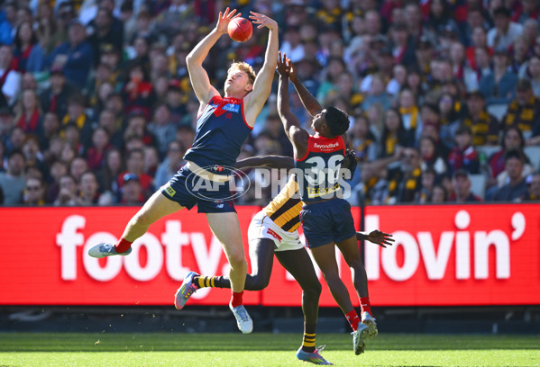 AFL 2025 Round 09 - Melbourne v Hawthorn - A-59373389