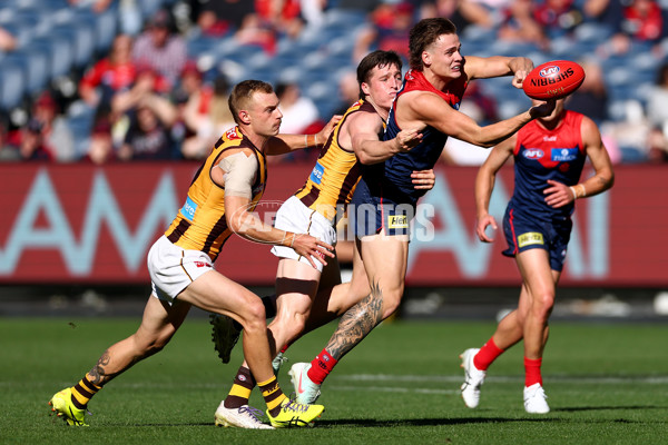 AFL 2025 Round 09 - Melbourne v Hawthorn - A-59373422