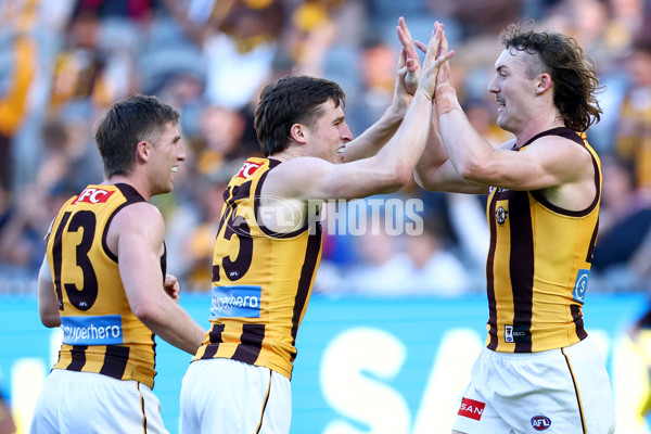 AFL 2025 Round 09 - Melbourne v Hawthorn - A-59375991
