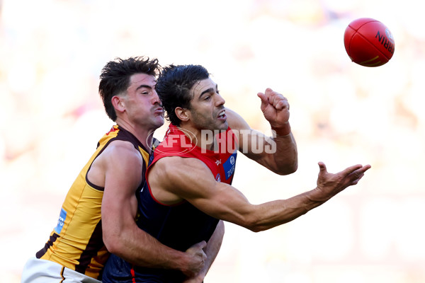 AFL 2025 Round 09 - Melbourne v Hawthorn - A-59376076