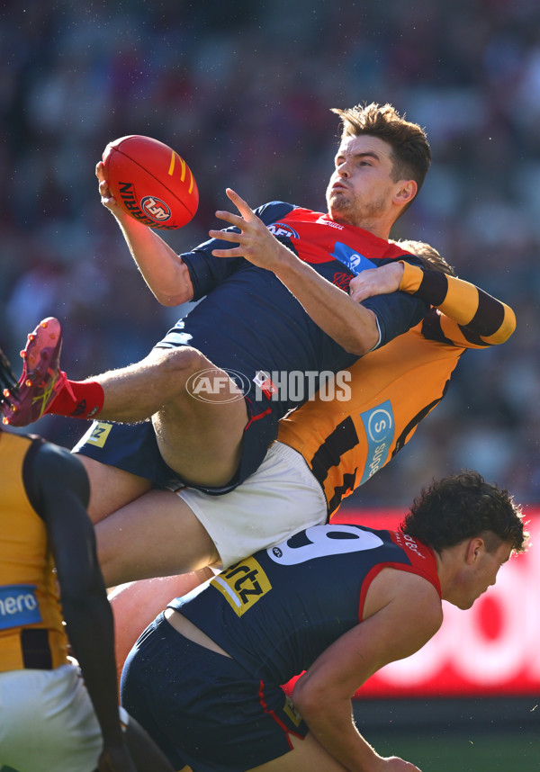AFL 2025 Round 09 - Melbourne v Hawthorn - A-59376690