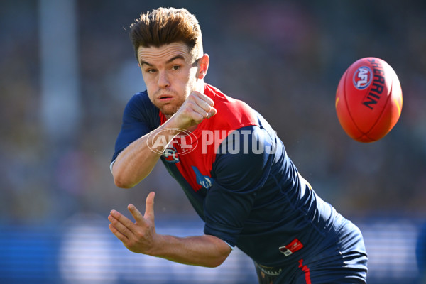AFL 2025 Round 09 - Melbourne v Hawthorn - A-59376704