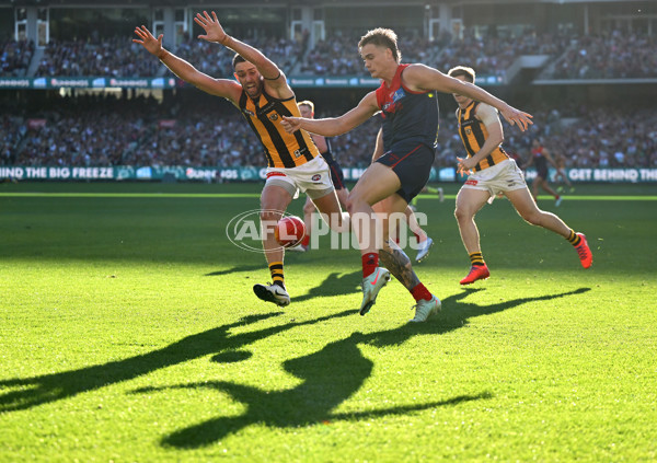 AFL 2025 Round 09 - Melbourne v Hawthorn - A-59380430