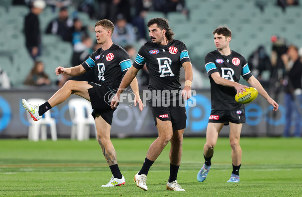AFL 2025 Round 09 - Port Adelaide v Adelaide - A-59391239