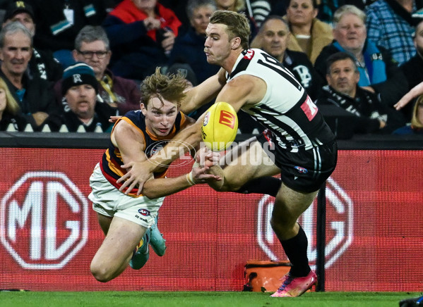 AFL 2025 Round 09 - Port Adelaide v Adelaide - A-59391886