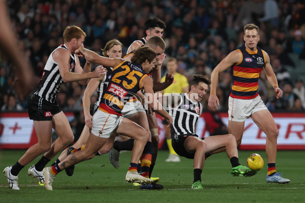 AFL 2025 Round 09 - Port Adelaide v Adelaide - A-59391887