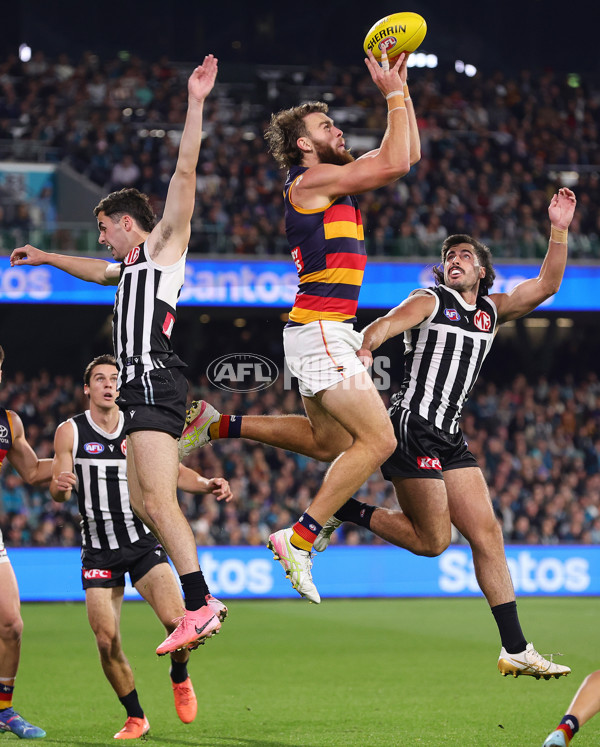 AFL 2025 Round 09 - Port Adelaide v Adelaide - A-59391900