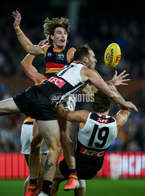 AFL 2025 Round 09 - Port Adelaide v Adelaide - A-59391916