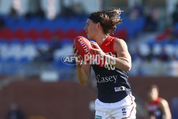 VFL 2025 Round 07 - Footscray Bulldogs v Casey Demons - A-59394068