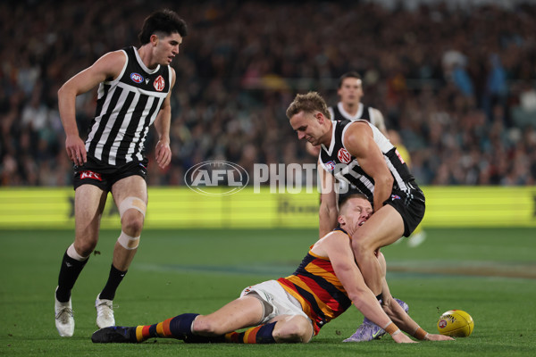 AFL 2025 Round 09 - Port Adelaide v Adelaide - A-59394154
