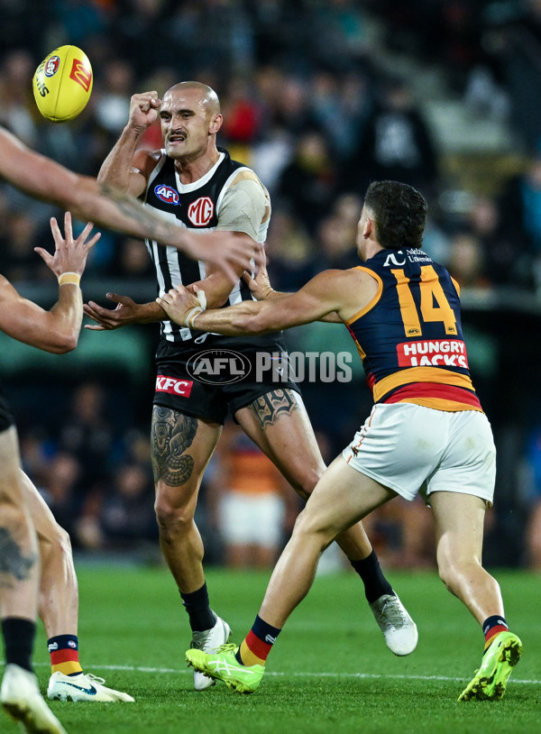 AFL 2025 Round 09 - Port Adelaide v Adelaide - A-59394807