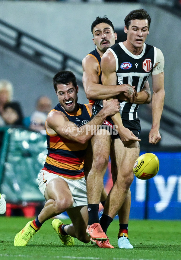 AFL 2025 Round 09 - Port Adelaide v Adelaide - A-59394808