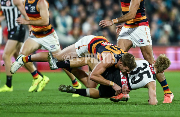 AFL 2025 Round 09 - Port Adelaide v Adelaide - A-59396322