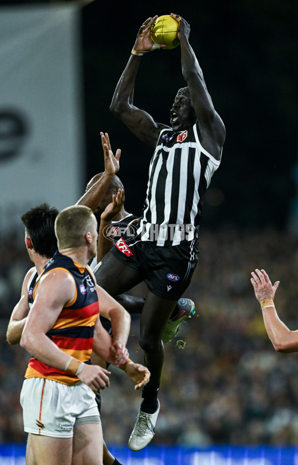 AFL 2025 Round 09 - Port Adelaide v Adelaide - A-59396345