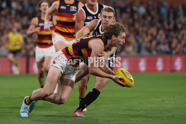 AFL 2025 Round 09 - Port Adelaide v Adelaide - A-59396358