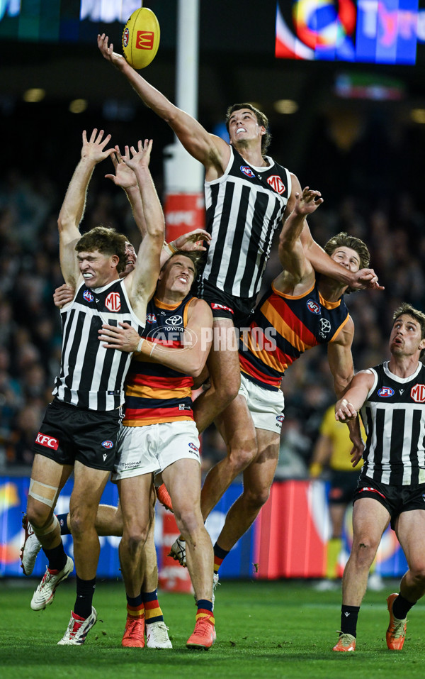 AFL 2025 Round 09 - Port Adelaide v Adelaide - A-59397122