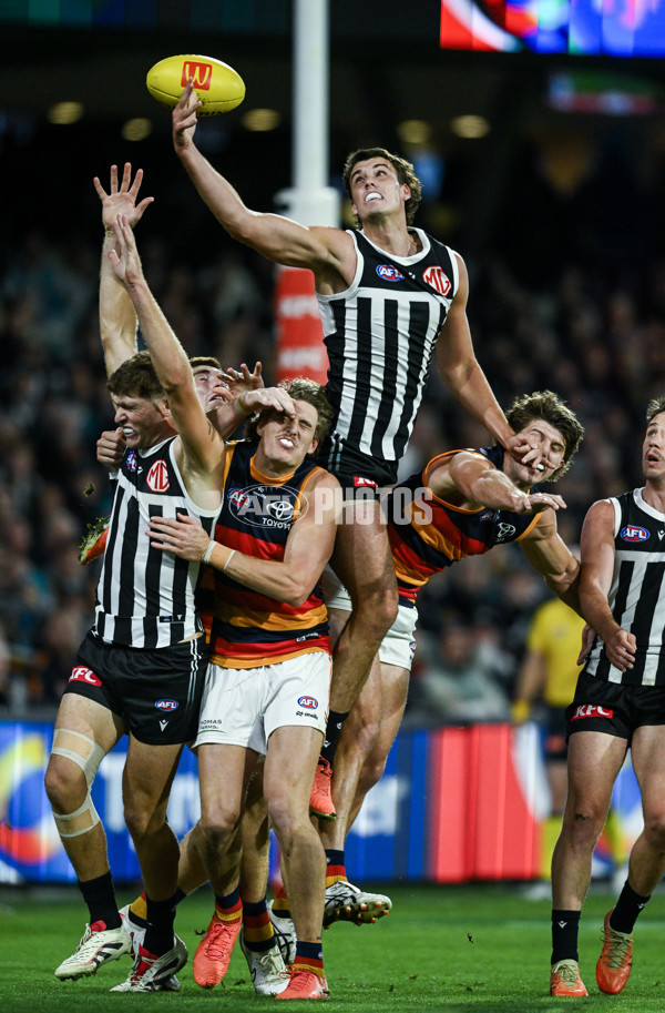 AFL 2025 Round 09 - Port Adelaide v Adelaide - A-59397130