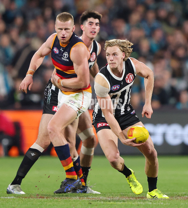 AFL 2025 Round 09 - Port Adelaide v Adelaide - A-59397133