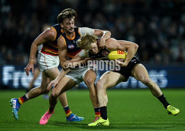AFL 2025 Round 09 - Port Adelaide v Adelaide - A-59397144