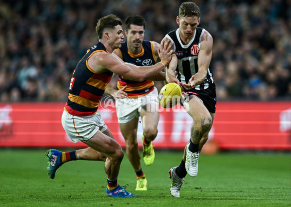 AFL 2025 Round 09 - Port Adelaide v Adelaide - A-59397189
