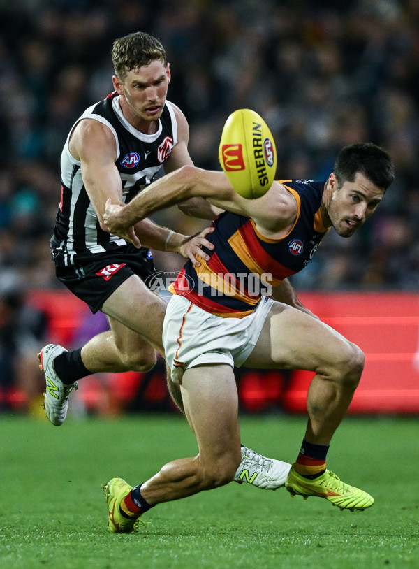 AFL 2025 Round 09 - Port Adelaide v Adelaide - A-59398808