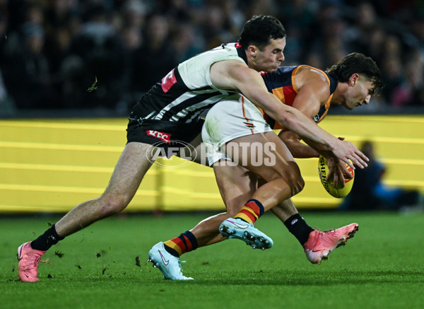 AFL 2025 Round 09 - Port Adelaide v Adelaide - A-59398822