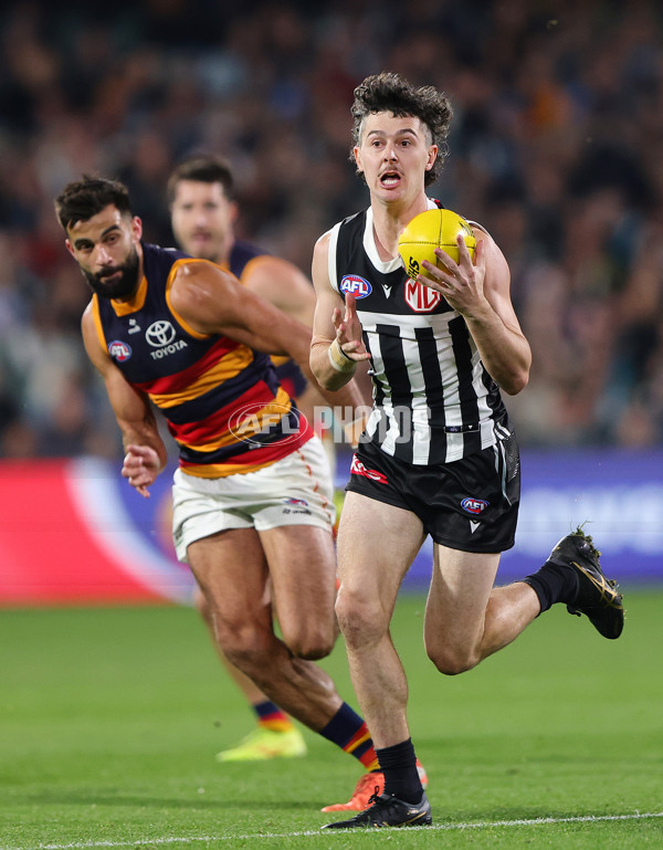 AFL 2025 Round 09 - Port Adelaide v Adelaide - A-59398826