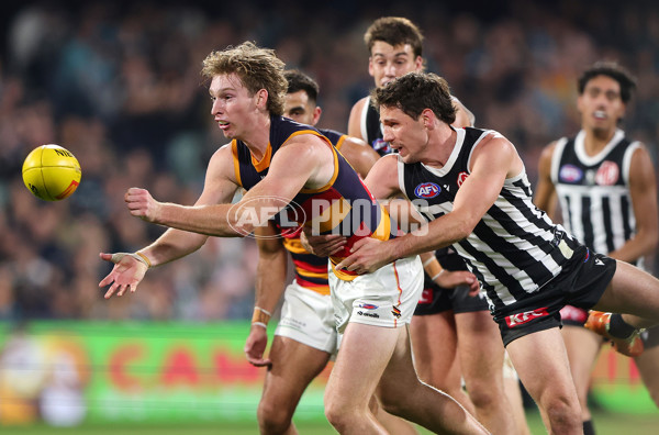 AFL 2025 Round 09 - Port Adelaide v Adelaide - A-59398838