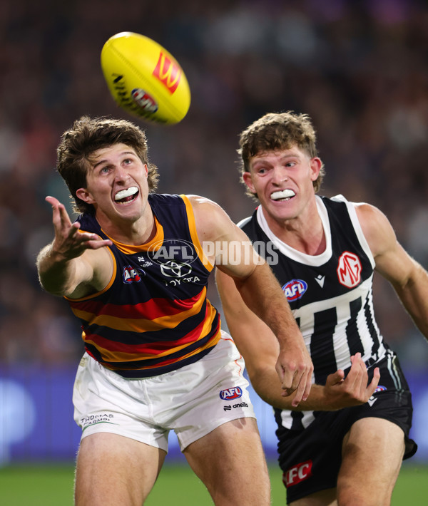 AFL 2025 Round 09 - Port Adelaide v Adelaide - A-59398843