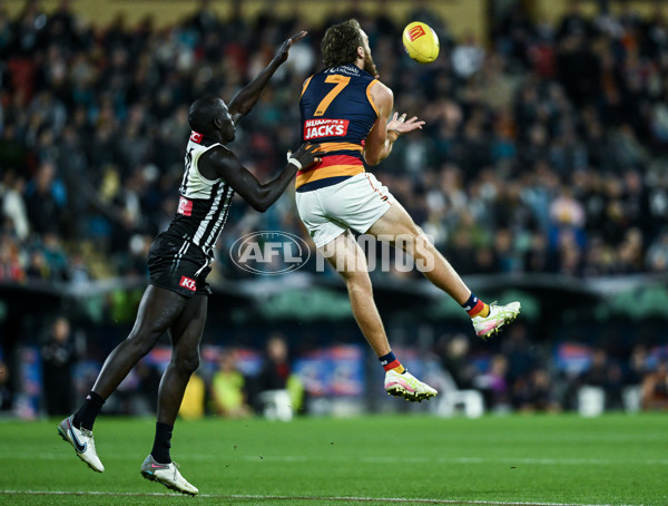 AFL 2025 Round 09 - Port Adelaide v Adelaide - A-59398846