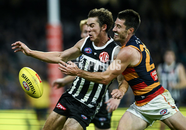AFL 2025 Round 09 - Port Adelaide v Adelaide - A-59398853