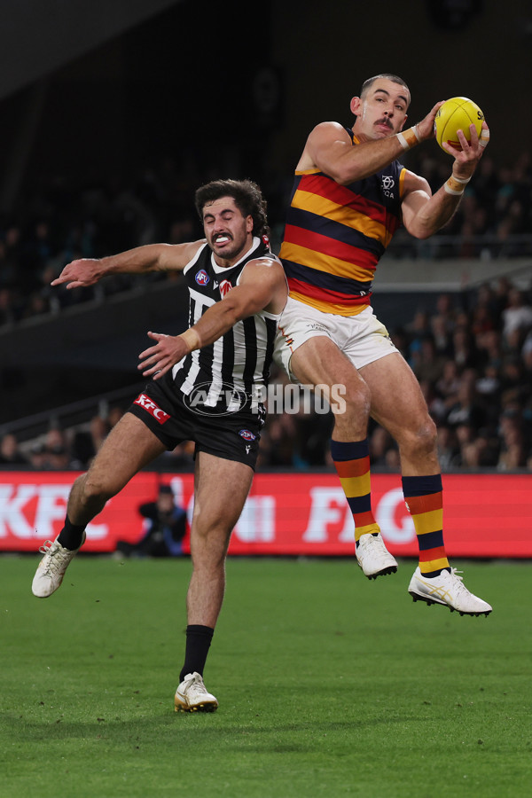 AFL 2025 Round 09 - Port Adelaide v Adelaide - A-59398866