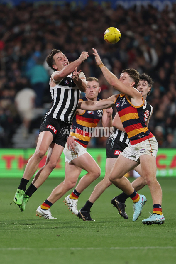AFL 2025 Round 09 - Port Adelaide v Adelaide - A-59398867