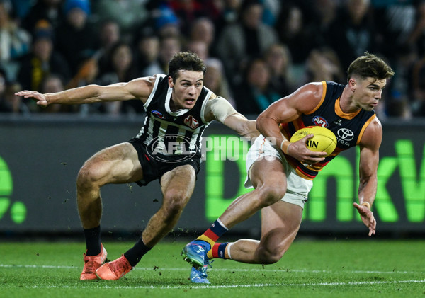 AFL 2025 Round 09 - Port Adelaide v Adelaide - A-59399329