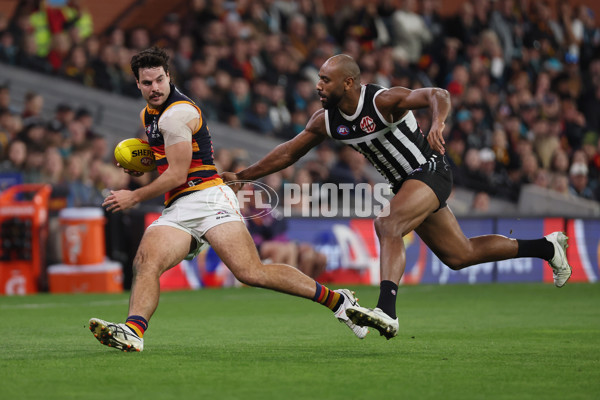 AFL 2025 Round 09 - Port Adelaide v Adelaide - A-59399333