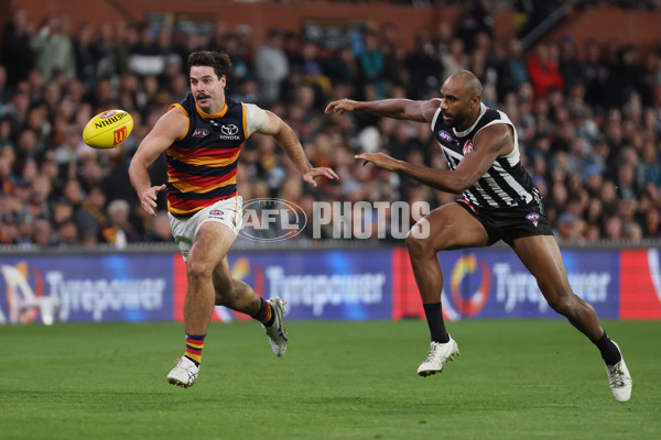 AFL 2025 Round 09 - Port Adelaide v Adelaide - A-59399334