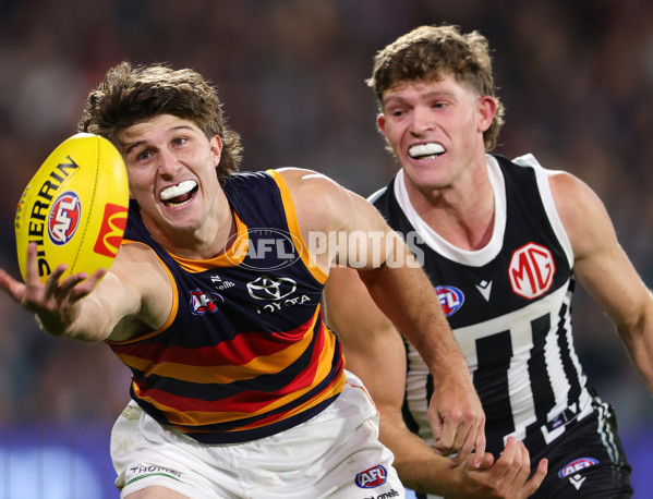 AFL 2025 Round 09 - Port Adelaide v Adelaide - A-59399335