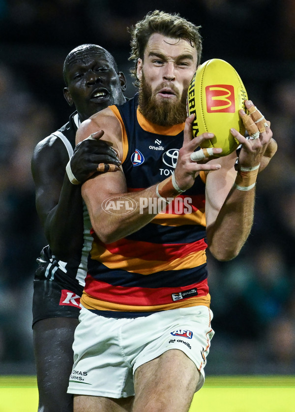 AFL 2025 Round 09 - Port Adelaide v Adelaide - A-59399344