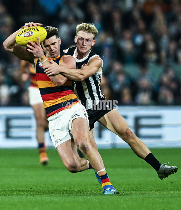 AFL 2025 Round 09 - Port Adelaide v Adelaide - A-59399354