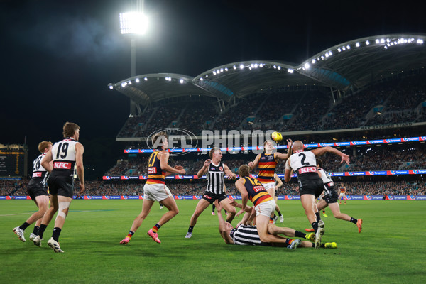 AFL 2025 Round 09 - Port Adelaide v Adelaide - A-59399373