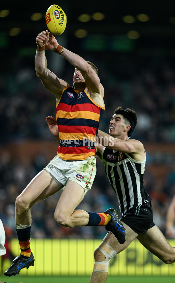 AFL 2025 Round 09 - Port Adelaide v Adelaide - A-59399395
