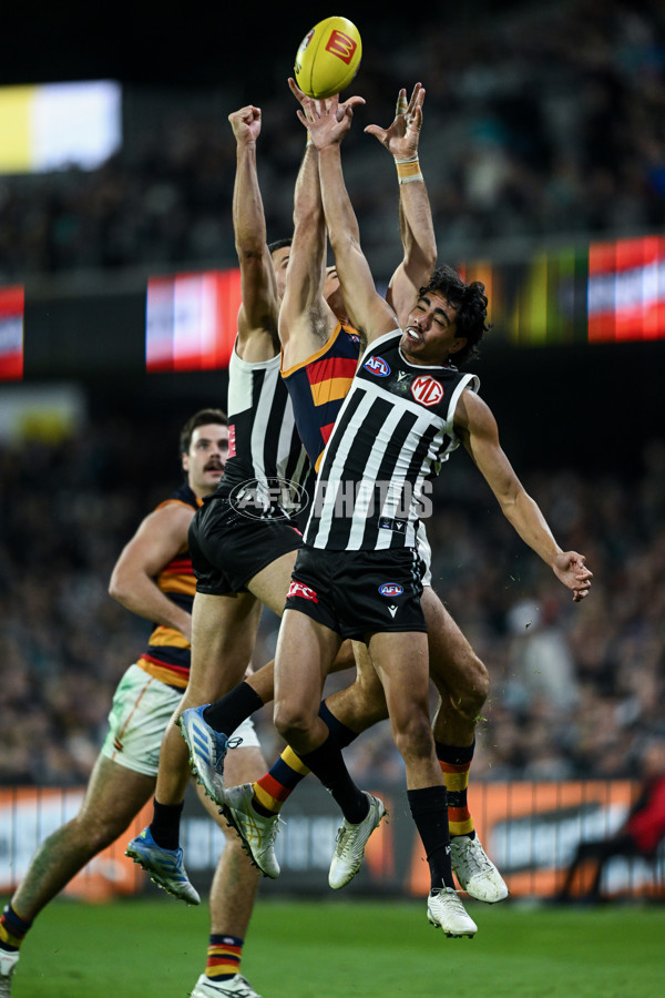 AFL 2025 Round 09 - Port Adelaide v Adelaide - A-59399397