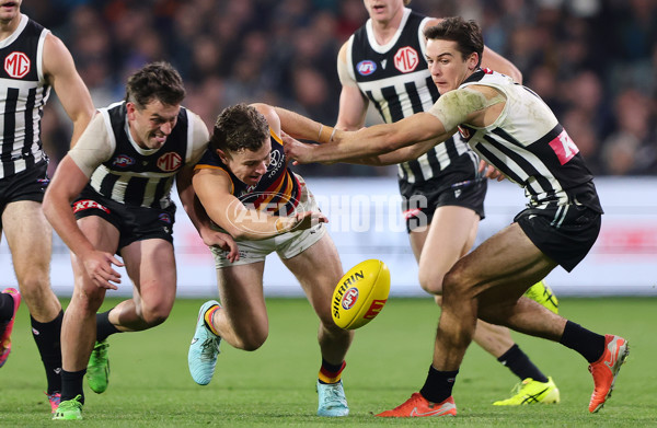 AFL 2025 Round 09 - Port Adelaide v Adelaide - A-59399400