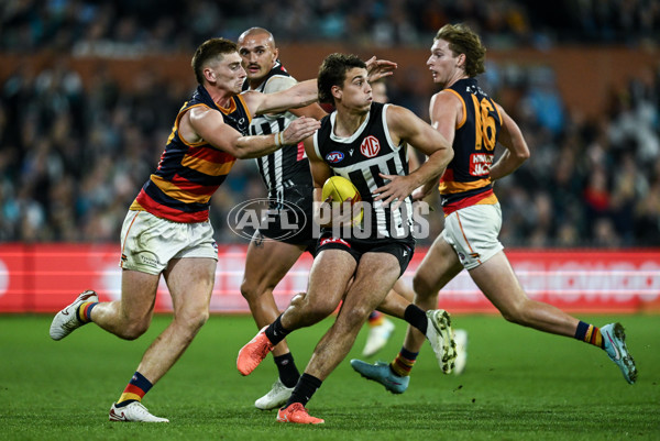 AFL 2025 Round 09 - Port Adelaide v Adelaide - A-59401356