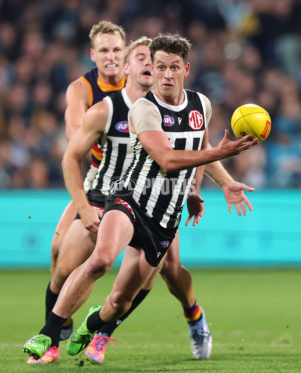 AFL 2025 Round 09 - Port Adelaide v Adelaide - A-59401367